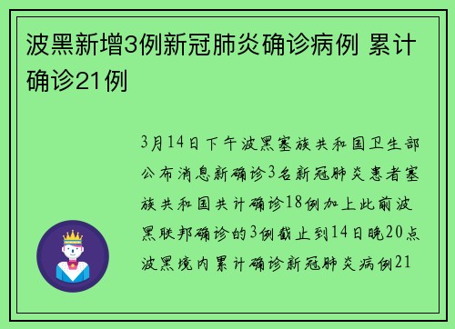 波黑新增3例新冠肺炎确诊病例 累计确诊21例